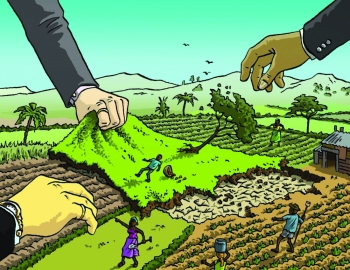 Những bất hợp lý trong thực tiễn giải quyết tranh chấp đất đai